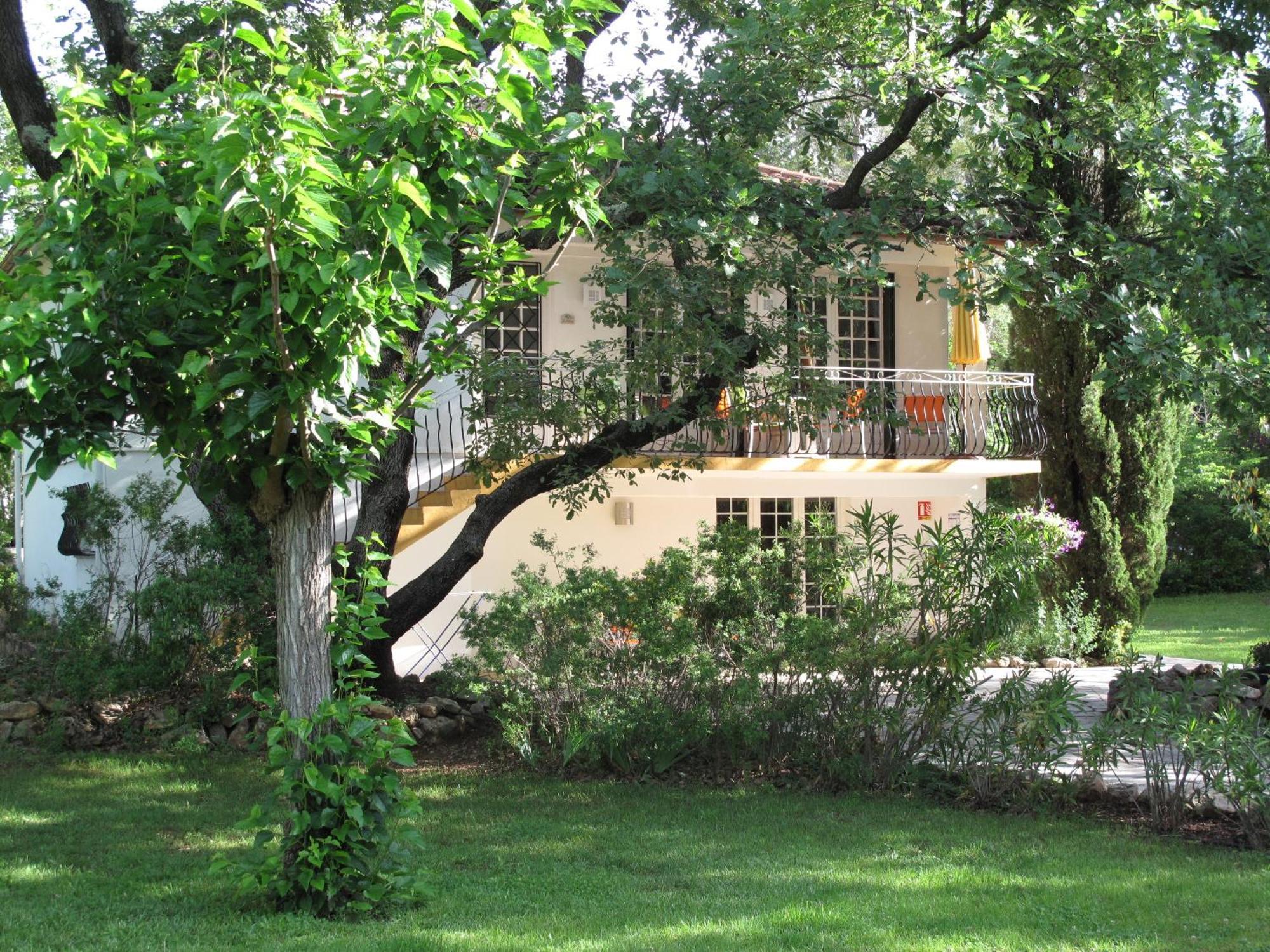 Residence Miro, Gites Avec Piscine Chauffee Et Tennis Les Arcs-sur-Argens Dış mekan fotoğraf